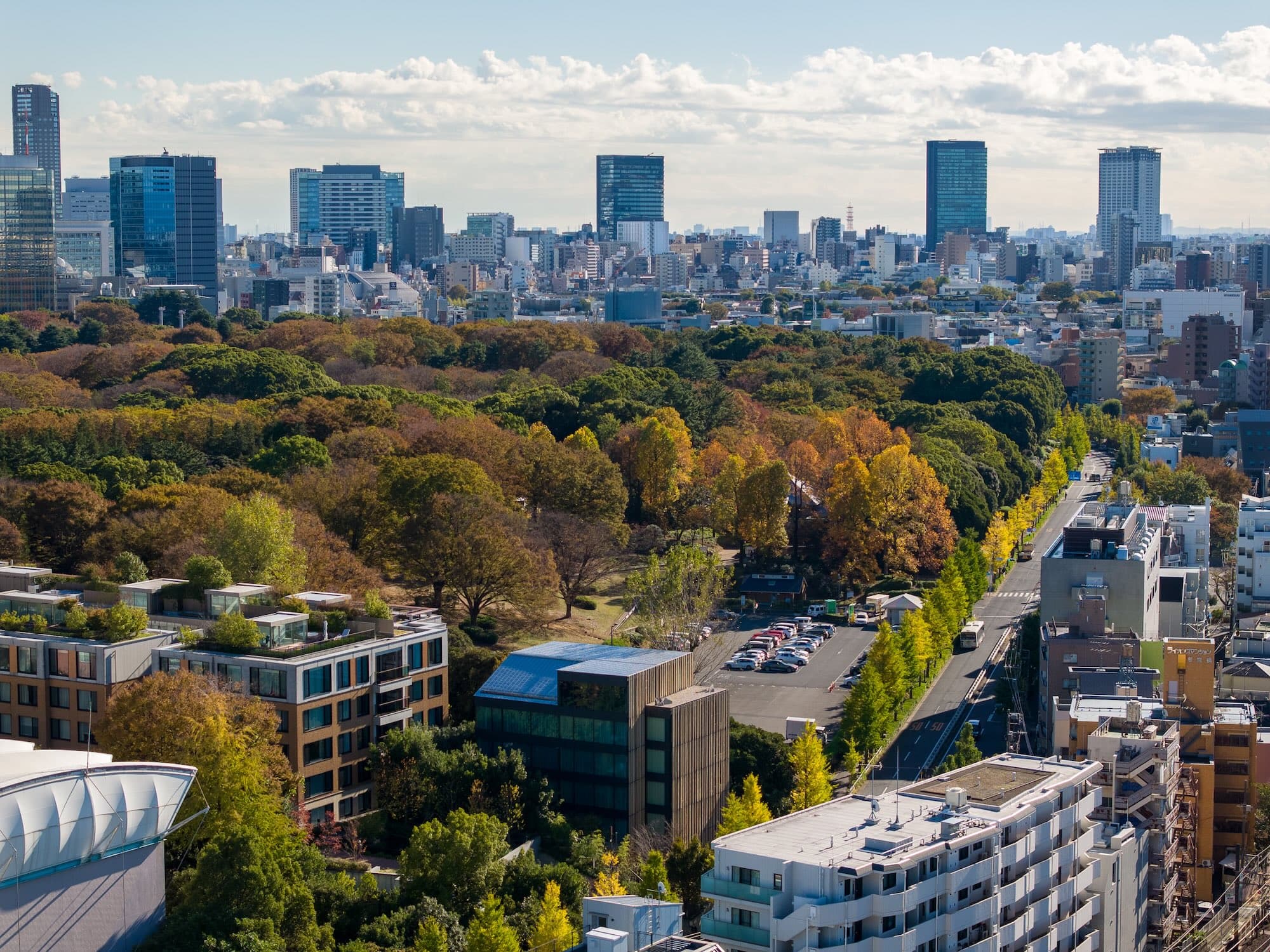 Aerial view of the Tokyo skyline in autumn